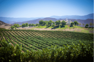 vin verifier in temecula