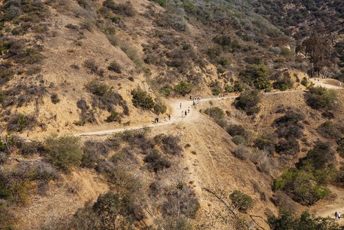 Runyon Canyon Park in Los Angeles