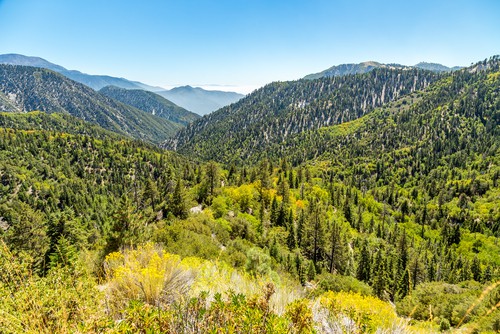 San Bernardino National Forest in San Bernardino