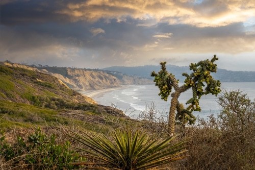 Torrey Pines State Natural Reserve