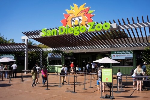 san diego zoo