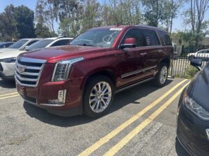 2020 Cadillac Escalade VIN Verification
