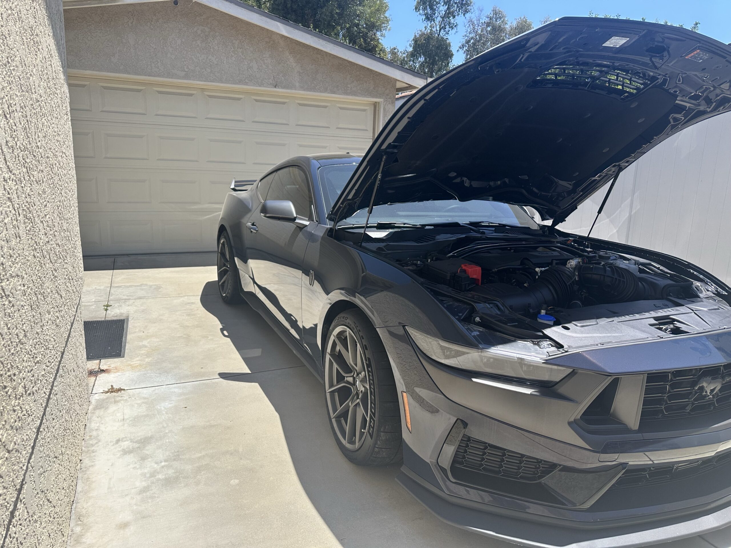 2025 Ford Mustang Dark Horse VIN Verification